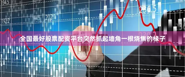 全国最好股票配资平台突然抓起墙角一根烧焦的椽子
