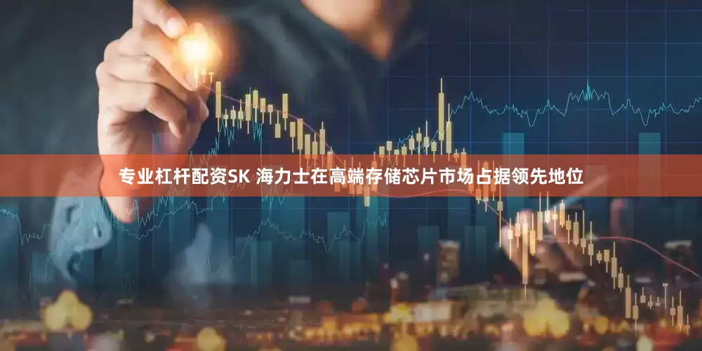 专业杠杆配资SK 海力士在高端存储芯片市场占据领先地位